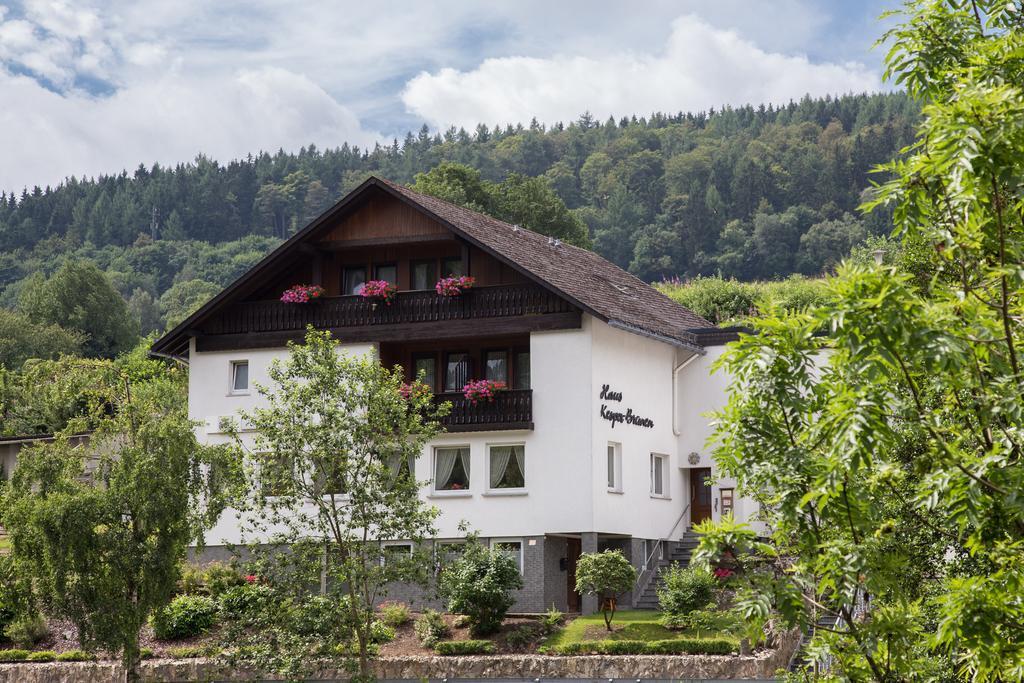 Haus Kesper-Brunen Hotel Willingen  Ngoại thất bức ảnh