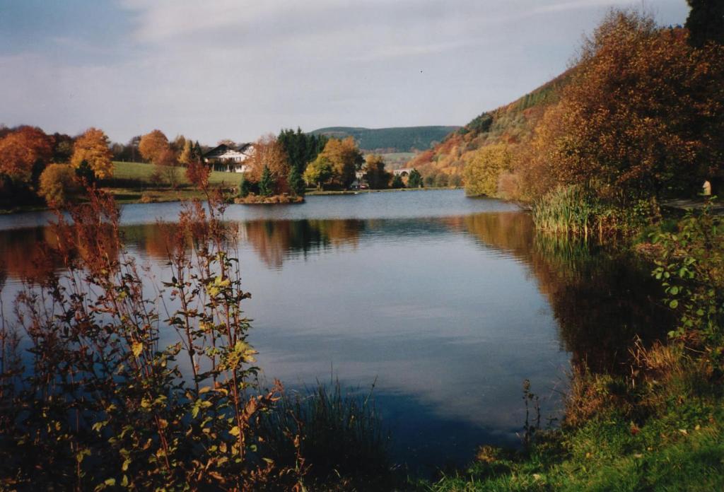 Haus Kesper-Brunen Hotel Willingen  Ngoại thất bức ảnh