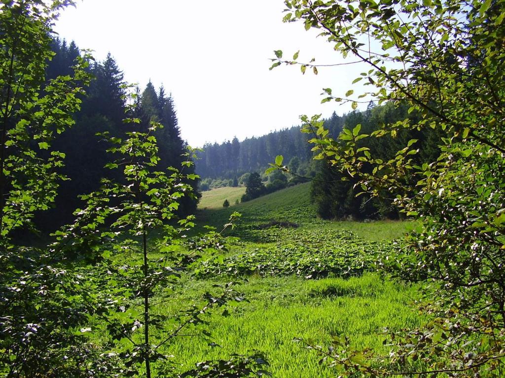 Haus Kesper-Brunen Hotel Willingen  Ngoại thất bức ảnh